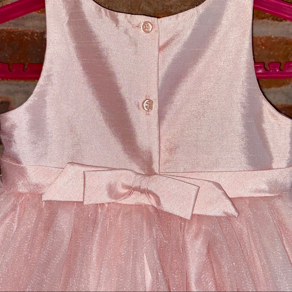 Flower Girl Dress 3T - Picture 4 of 10